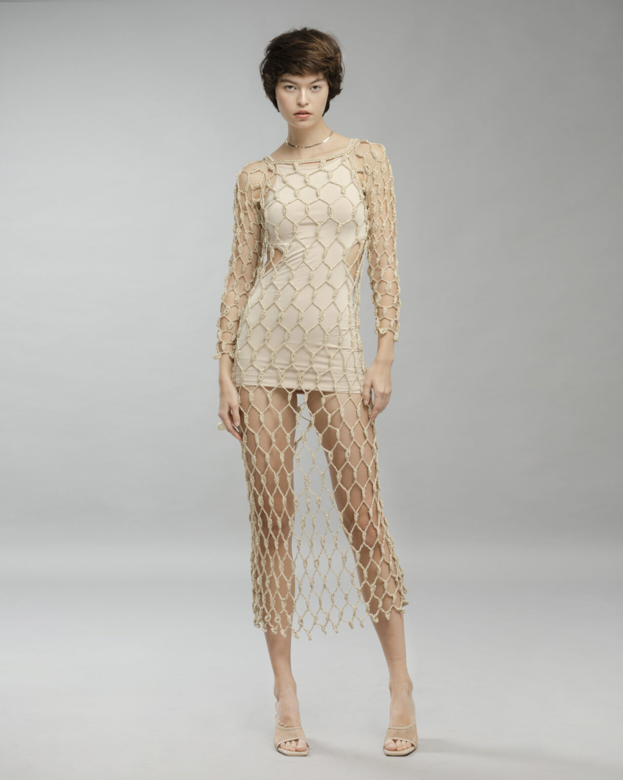 Net LS Dress